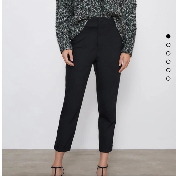 Zara Pants - ZARA PLEATED PANTS